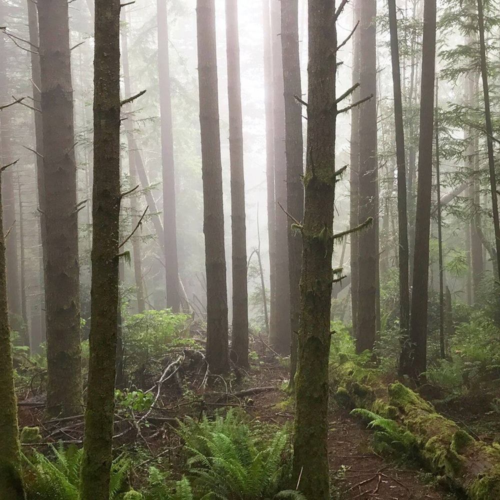 Meet your Posher, Jeannie